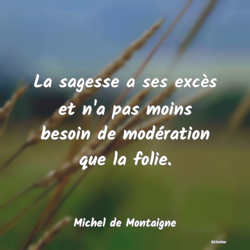 Belle Citation - La sagesse a ses excès et n'a pas moins besoin de modération que la folie. - Michel de Montaigne