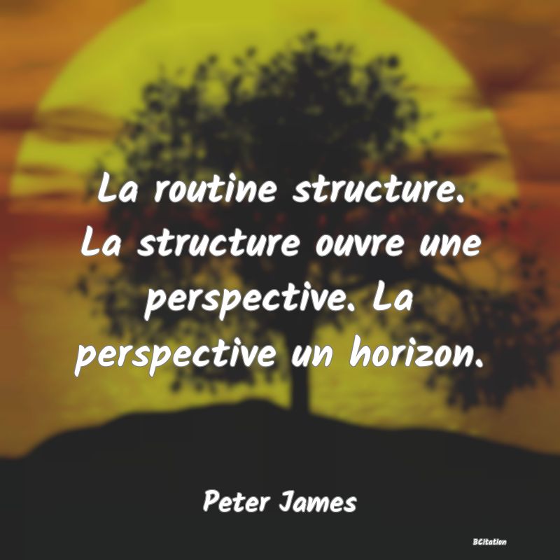 image de citation: La routine structure. La structure ouvre une perspective. La perspective un horizon.