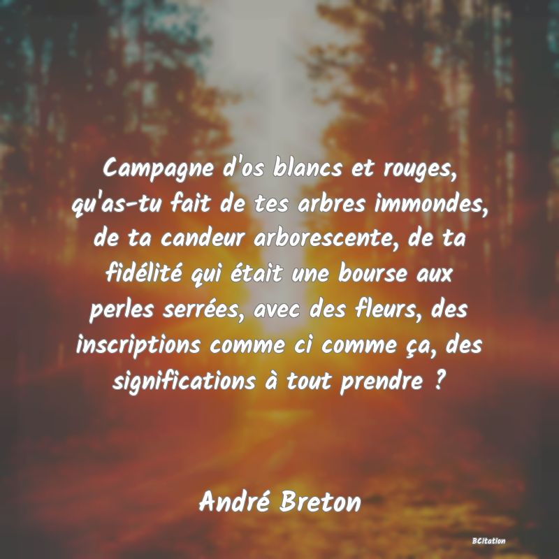 image de citation: Campagne d'os blancs et rouges, qu'as-tu fait de tes arbres immondes, de ta candeur arborescente, de ta fidélité qui était une bourse aux perles serrées, avec des fleurs, des inscriptions comme ci comme ça, des significations à tout prendre ?