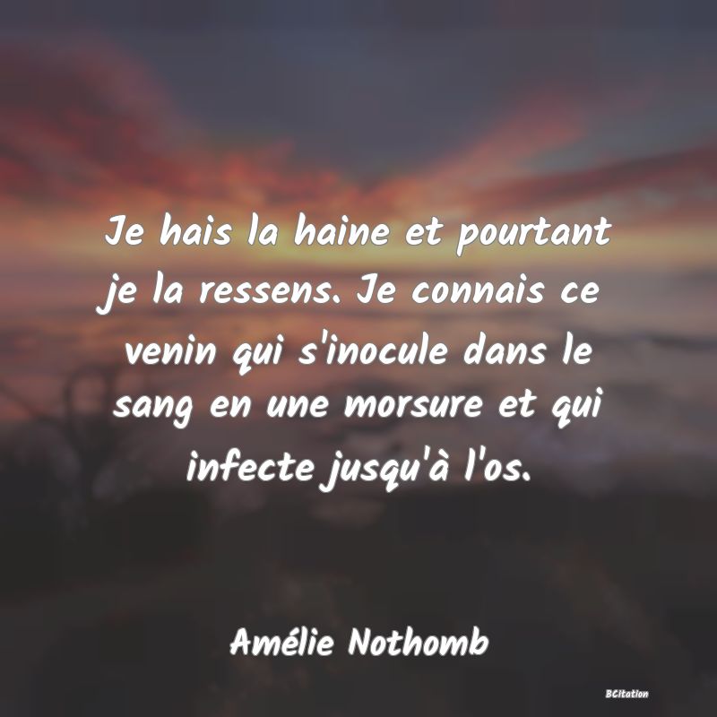 image de citation: Je hais la haine et pourtant je la ressens. Je connais ce venin qui s'inocule dans le sang en une morsure et qui infecte jusqu'à l'os.