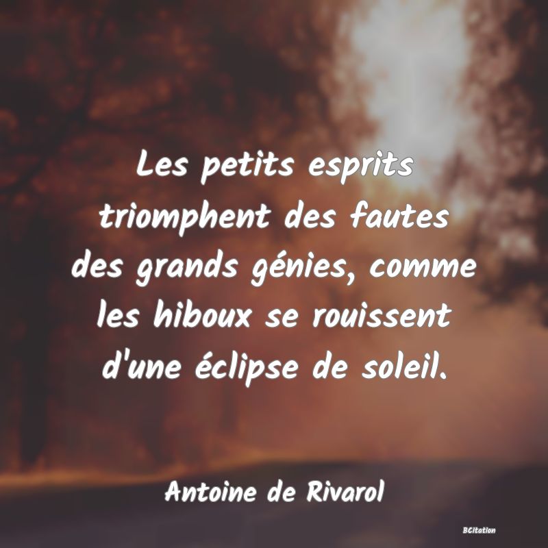 image de citation: Les petits esprits triomphent des fautes des grands génies, comme les hiboux se rouissent d'une éclipse de soleil.