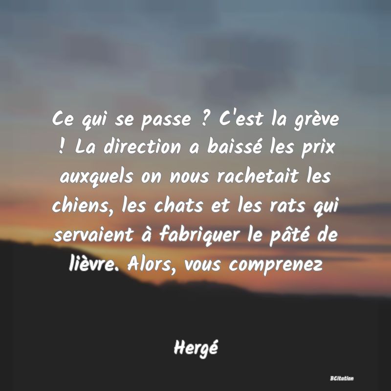 image de citation: Ce qui se passe ? C'est la grève ! La direction a baissé les prix auxquels on nous rachetait les chiens, les chats et les rats qui servaient à fabriquer le pâté de lièvre. Alors, vous comprenez