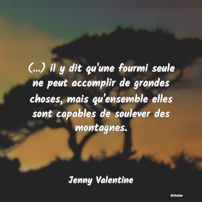 image de citation: (...) il y dit qu'une fourmi seule ne peut accomplir de grandes choses, mais qu'ensemble elles sont capables de soulever des montagnes.