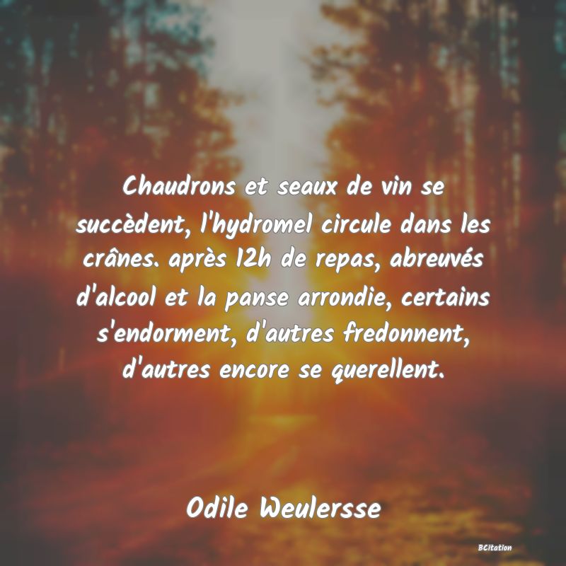 image de citation: Chaudrons et seaux de vin se succèdent, l'hydromel circule dans les crânes. après 12h de repas, abreuvés d'alcool et la panse arrondie, certains s'endorment, d'autres fredonnent, d'autres encore se querellent.