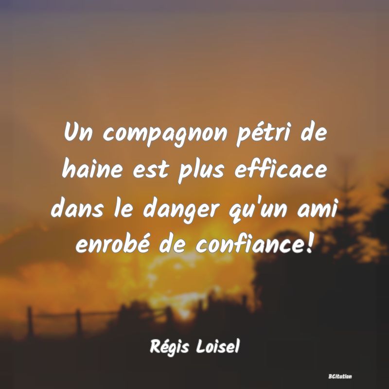 image de citation: Un compagnon pétri de haine est plus efficace dans le danger qu'un ami enrobé de confiance!