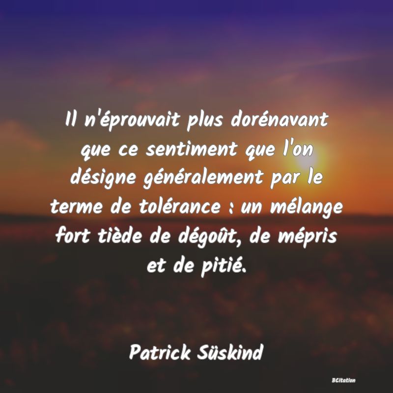 image de citation: Il n'éprouvait plus dorénavant que ce sentiment que l'on désigne généralement par le terme de tolérance : un mélange fort tiède de dégoût, de mépris et de pitié.