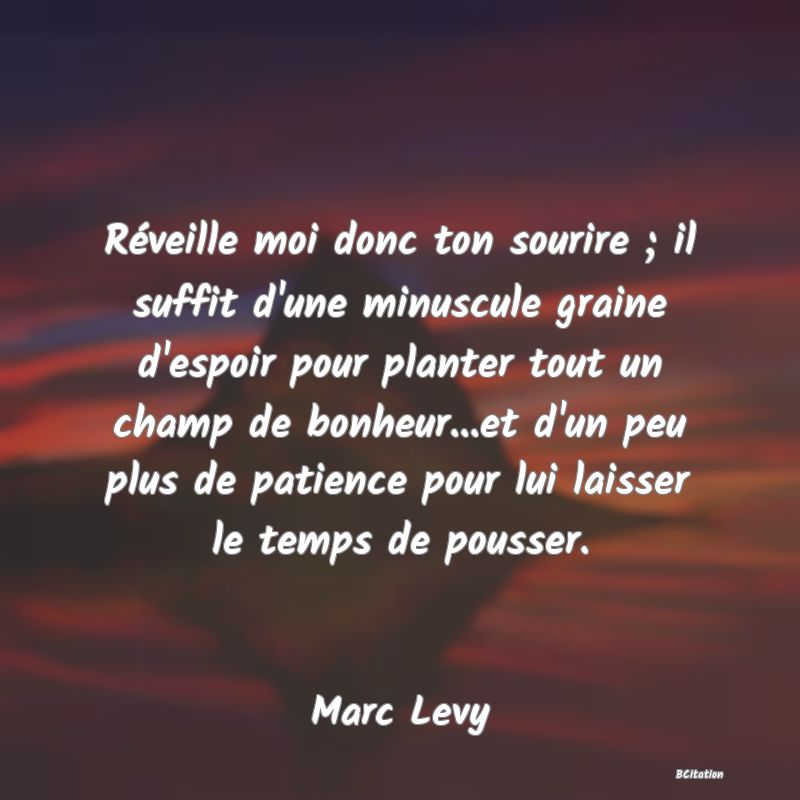 image de citation: Réveille moi donc ton sourire ; il suffit d'une minuscule graine d'espoir pour planter tout un champ de bonheur...et d'un peu plus de patience pour lui laisser le temps de pousser.