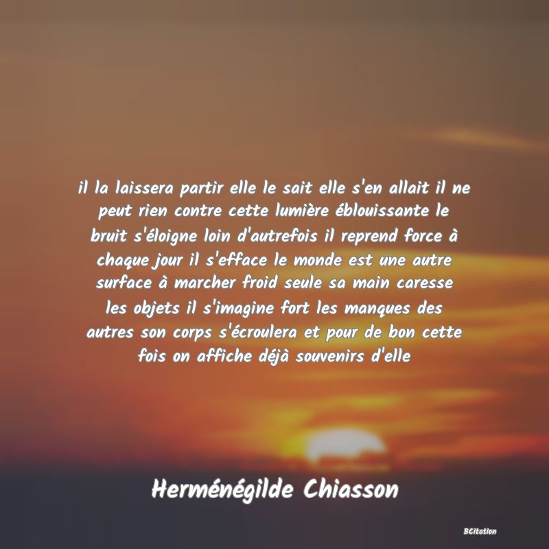 image de citation: il la laissera partir elle le sait elle s'en allait il ne peut rien contre cette lumière éblouissante le bruit s'éloigne loin d'autrefois il reprend force à chaque jour il s'efface le monde est une autre surface à marcher froid seule sa main caresse les objets il s'imagine fort les manques des autres son corps s'écroulera et pour de bon cette fois on affiche déjà souvenirs d'elle