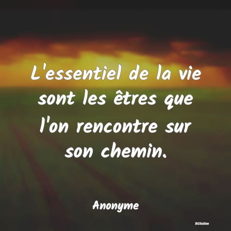 image de citation: L'essentiel de la vie sont les êtres que l'on rencontre sur son chemin.