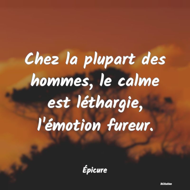 image de citation: Chez la plupart des hommes, le calme est léthargie, l'émotion fureur.