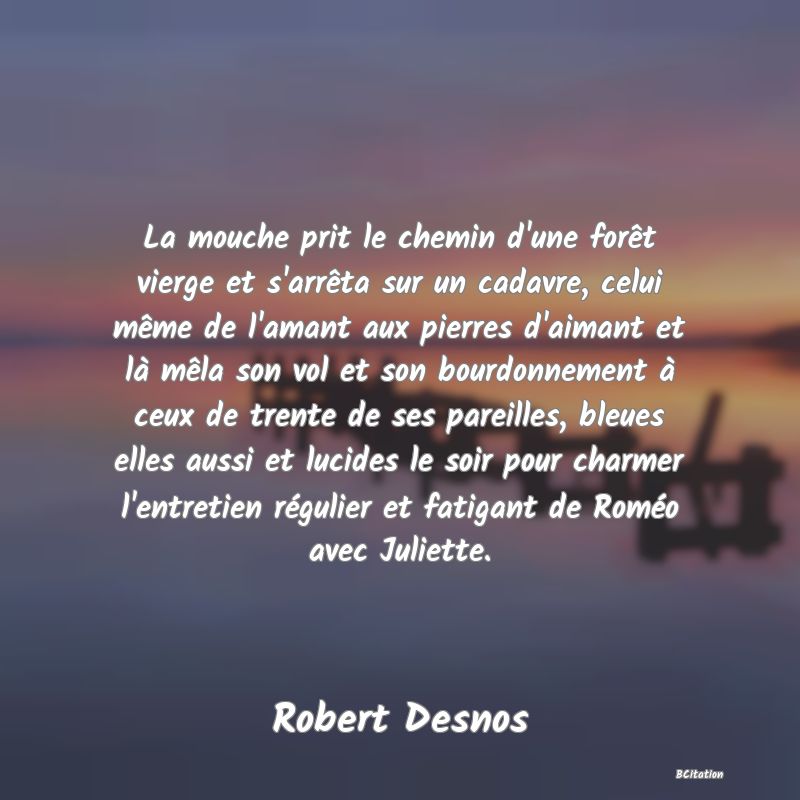 image de citation: La mouche prit le chemin d'une forêt vierge et s'arrêta sur un cadavre, celui même de l'amant aux pierres d'aimant et là mêla son vol et son bourdonnement à ceux de trente de ses pareilles, bleues elles aussi et lucides le soir pour charmer l'entretien régulier et fatigant de Roméo avec Juliette.