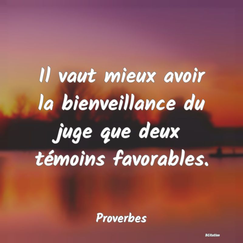 Belle Citation - Il vaut mieux avoir la bienveillance du juge que deux témoins favorables. - Proverbes