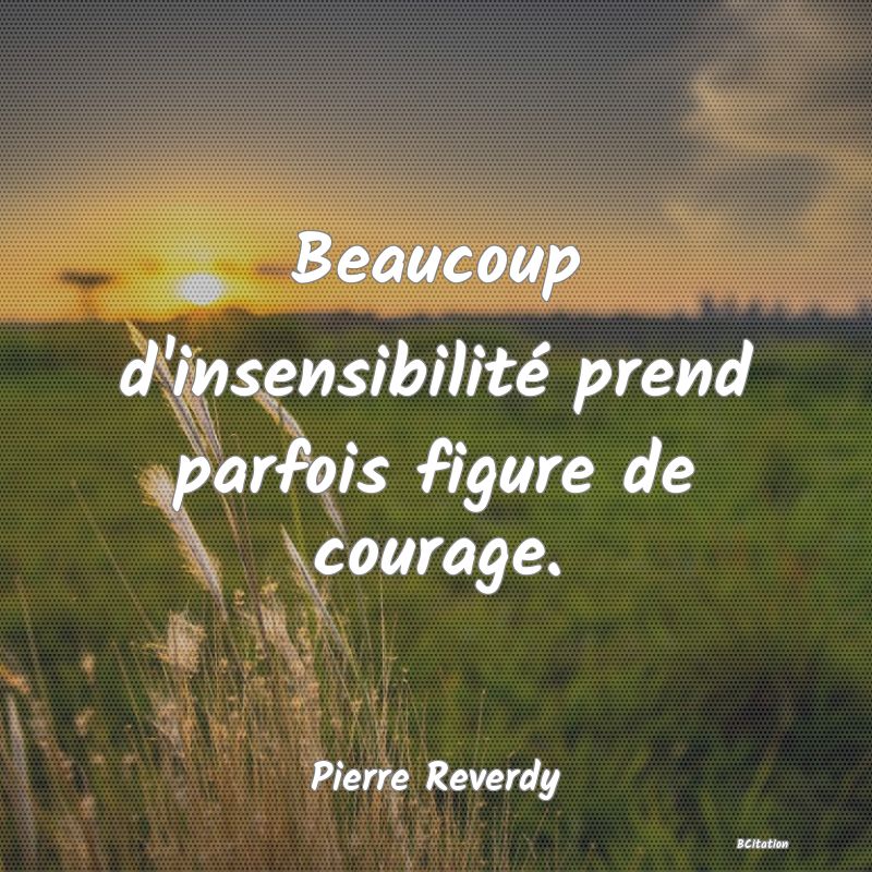 Belle Citation - Beaucoup d'insensibilité prend parfois figure de courage. - Pierre Reverdy