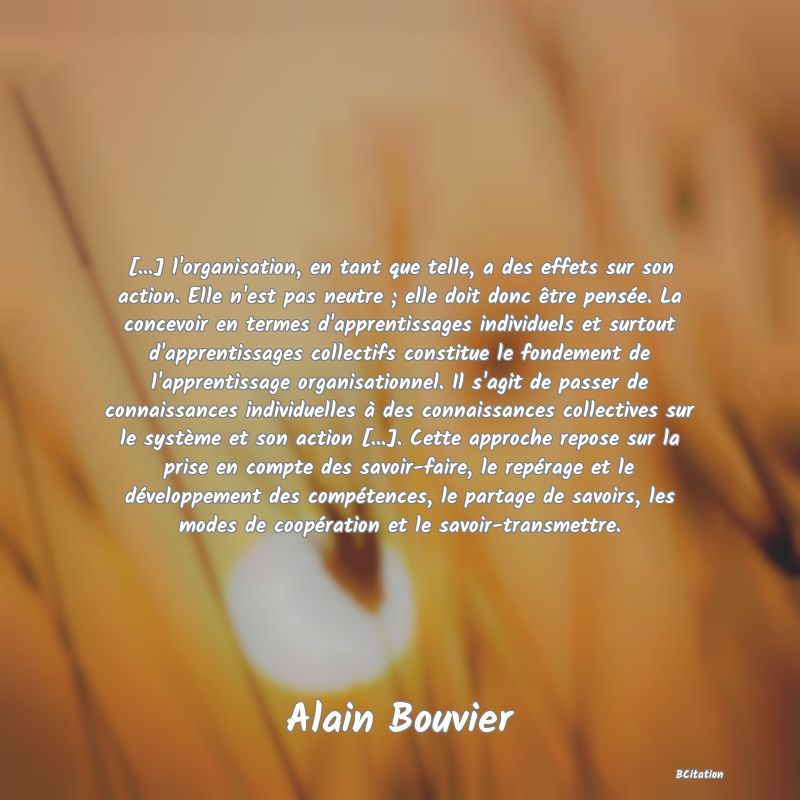 image de citation: [...] l'organisation, en tant que telle, a des effets sur son action. Elle n'est pas neutre ; elle doit donc être pensée. La concevoir en termes d'apprentissages individuels et surtout d'apprentissages collectifs constitue le fondement de l'apprentissage organisationnel. Il s'agit de passer de connaissances individuelles à des connaissances collectives sur le système et son action [...]. Cette approche repose sur la prise en compte des savoir-faire, le repérage et le développement des compétences, le partage de savoirs, les modes de coopération et le savoir-transmettre.