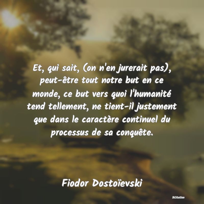 image de citation: Et, qui sait, (on n'en jurerait pas), peut-être tout notre but en ce monde, ce but vers quoi l'humanité tend tellement, ne tient-il justement que dans le caractère continuel du processus de sa conquête.