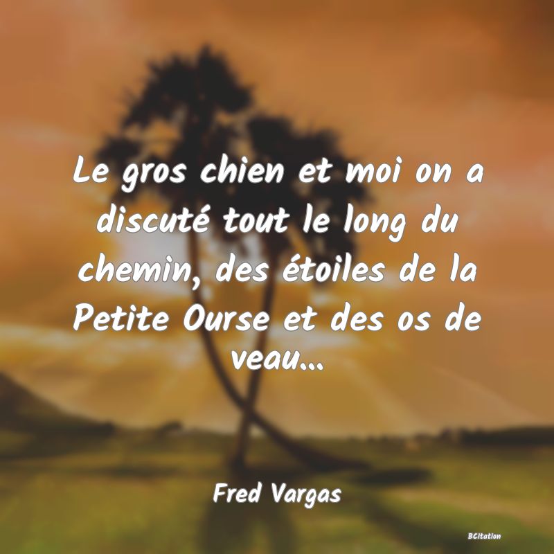 image de citation: Le gros chien et moi on a discuté tout le long du chemin, des étoiles de la Petite Ourse et des os de veau...