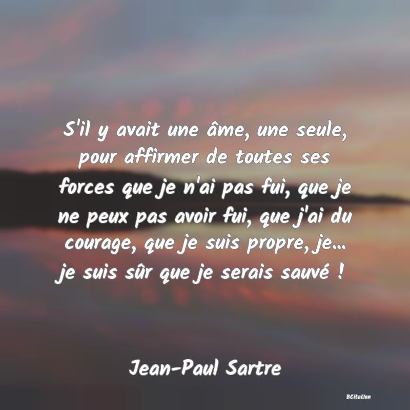 image de citation: S'il y avait une âme, une seule, pour affirmer de toutes ses forces que je n'ai pas fui, que je ne peux pas avoir fui, que j'ai du courage, que je suis propre, je... je suis sûr que je serais sauvé !