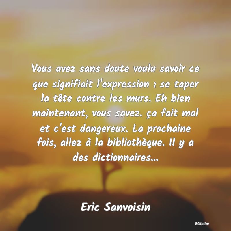 image de citation: Vous avez sans doute voulu savoir ce que signifiait l'expression : se taper la tête contre les murs. Eh bien maintenant, vous savez. ça fait mal et c'est dangereux. La prochaine fois, allez à la bibliothèque. Il y a des dictionnaires...