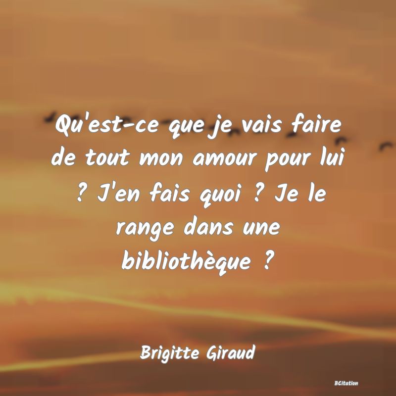 image de citation: Qu'est-ce que je vais faire de tout mon amour pour lui ? J'en fais quoi ? Je le range dans une bibliothèque ?