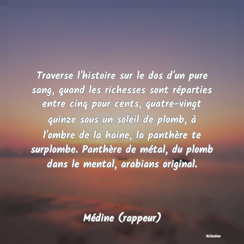 image de citation: Traverse l'histoire sur le dos d'un pure sang, quand les richesses sont réparties entre cinq pour cents, quatre-vingt quinze sous un soleil de plomb, à l'ombre de la haine, la panthère te surplombe. Panthère de métal, du plomb dans le mental, arabians original.