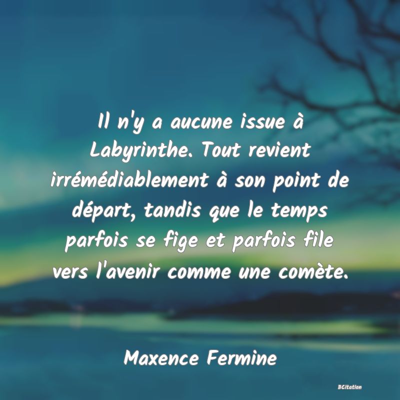 image de citation: Il n'y a aucune issue à Labyrinthe. Tout revient irrémédiablement à son point de départ, tandis que le temps parfois se fige et parfois file vers l'avenir comme une comète.