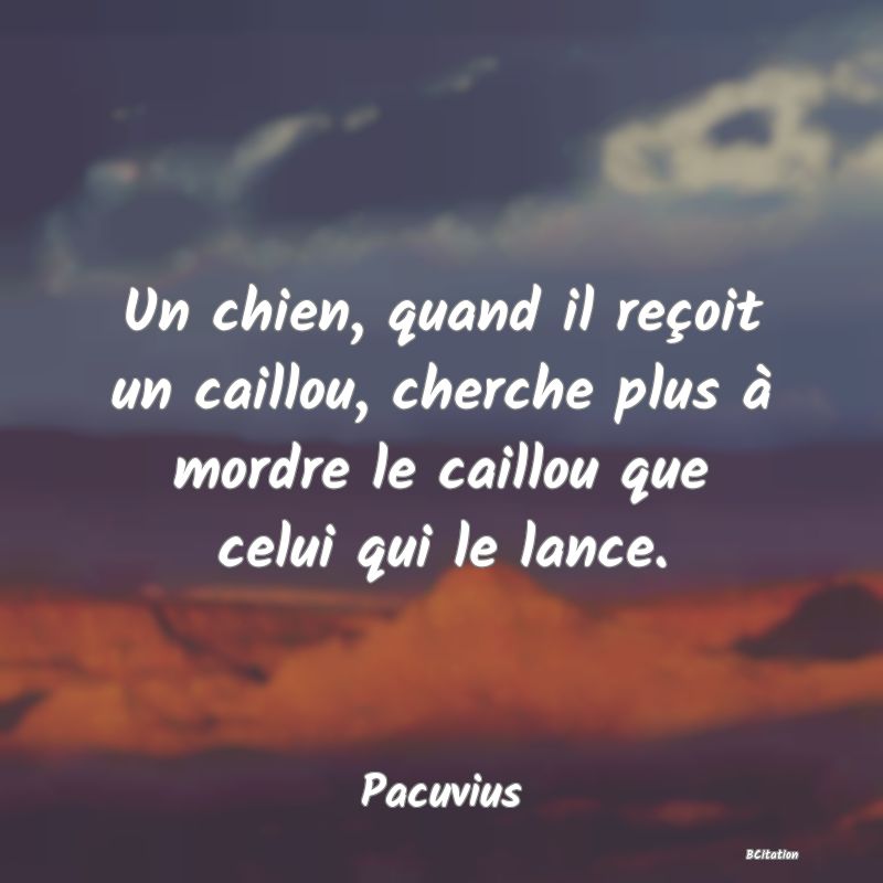 Belle Citation - Un chien, quand il reçoit un caillou, cherche plus à mordre le caillou que celui qui le lance. - Pacuvius