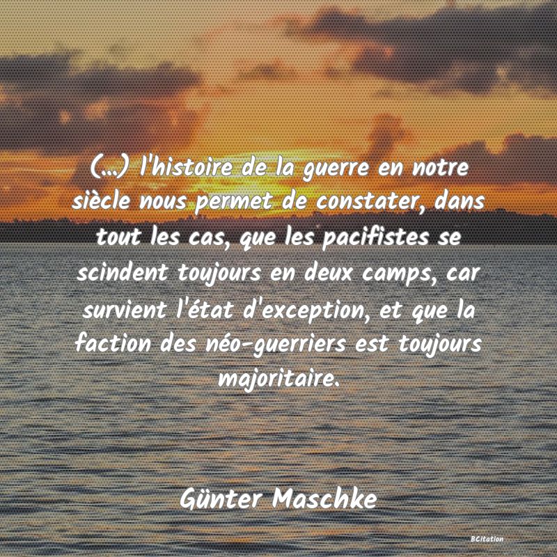 image de citation: (...) l'histoire de la guerre en notre siècle nous permet de constater, dans tout les cas, que les pacifistes se scindent toujours en deux camps, car survient l'état d'exception, et que la faction des néo-guerriers est toujours majoritaire.