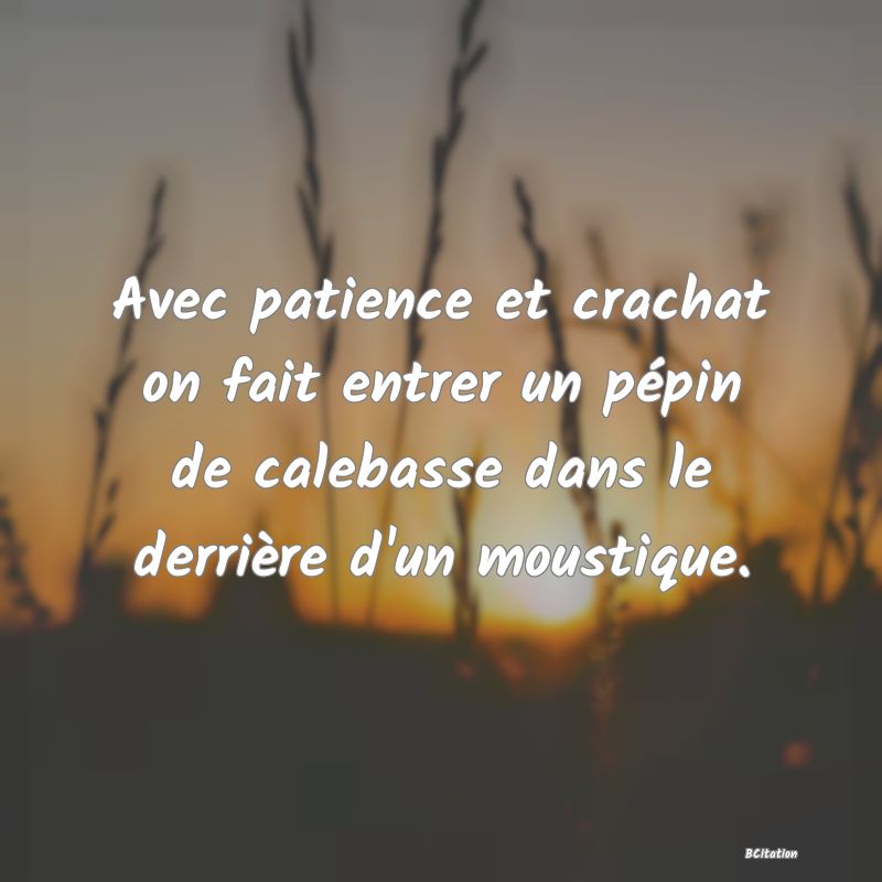 Belle Citation - Avec patience et crachat on fait entrer un pépin de calebasse dans le derrière d'un moustique. - 