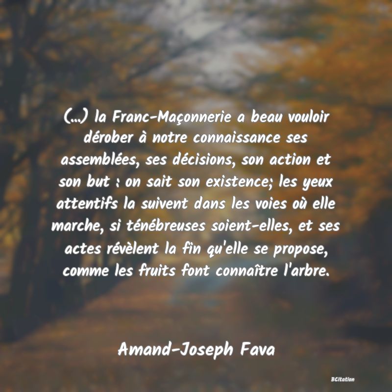 image de citation: (...) la Franc-Maçonnerie a beau vouloir dérober à notre connaissance ses assemblées, ses décisions, son action et son but : on sait son existence; les yeux attentifs la suivent dans les voies où elle marche, si ténébreuses soient-elles, et ses actes révèlent la fin qu'elle se propose, comme les fruits font connaître l'arbre.