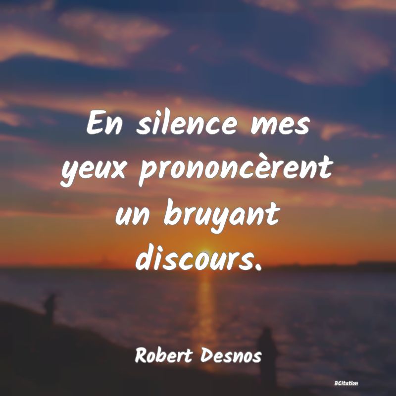 image de citation: En silence mes yeux prononcèrent un bruyant discours.