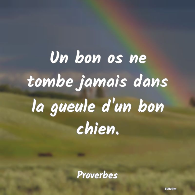 image de citation: Un bon os ne tombe jamais dans la gueule d'un bon chien.