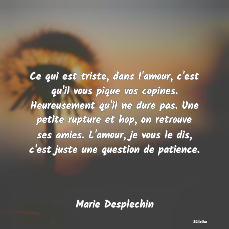 image de citation: Ce qui est triste, dans l'amour, c'est qu'il vous pique vos copines. Heureusement qu'il ne dure pas. Une petite rupture et hop, on retrouve ses amies. L'amour, je vous le dis, c'est juste une question de patience.