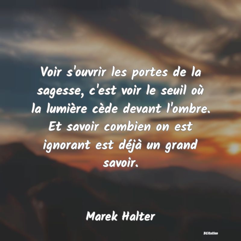 image de citation: Voir s'ouvrir les portes de la sagesse, c'est voir le seuil où la lumière cède devant l'ombre. Et savoir combien on est ignorant est déjà un grand savoir.