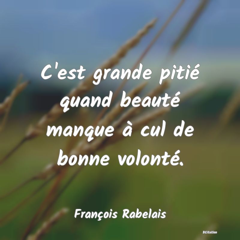 image de citation: C'est grande pitié quand beauté manque à cul de bonne volonté.