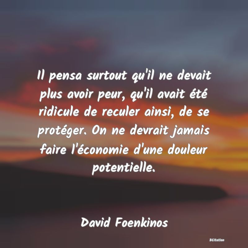 image de citation: Il pensa surtout qu'il ne devait plus avoir peur, qu'il avait été ridicule de reculer ainsi, de se protéger. On ne devrait jamais faire l'économie d'une douleur potentielle.