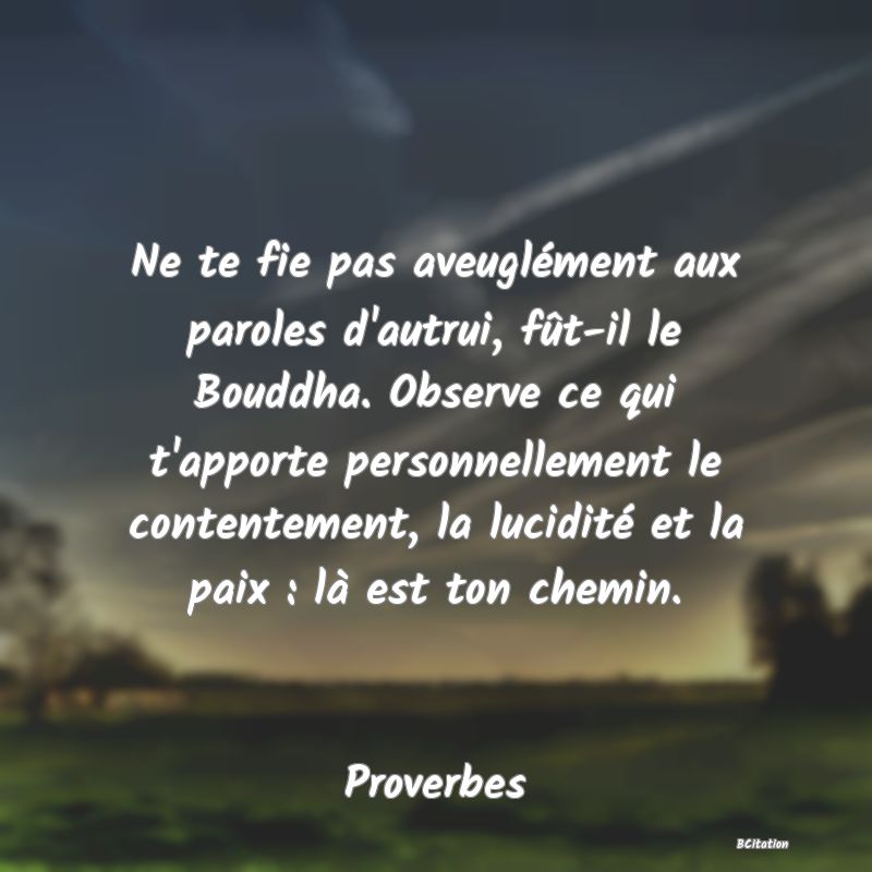 image de citation: Ne te fie pas aveuglément aux paroles d'autrui, fût-il le Bouddha. Observe ce qui t'apporte personnellement le contentement, la lucidité et la paix : là est ton chemin.