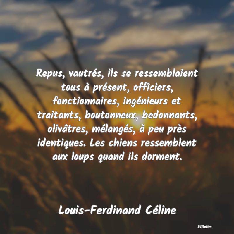 image de citation: Repus, vautrés, ils se ressemblaient tous à présent, officiers, fonctionnaires, ingénieurs et traitants, boutonneux, bedonnants, olivâtres, mélangés, à peu près identiques. Les chiens ressemblent aux loups quand ils dorment.