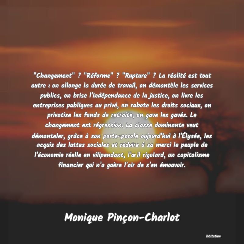 Belle Citation - 