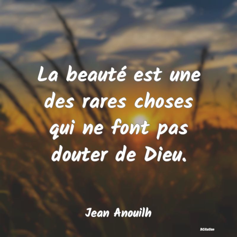 image de citation: La beauté est une des rares choses qui ne font pas douter de Dieu.