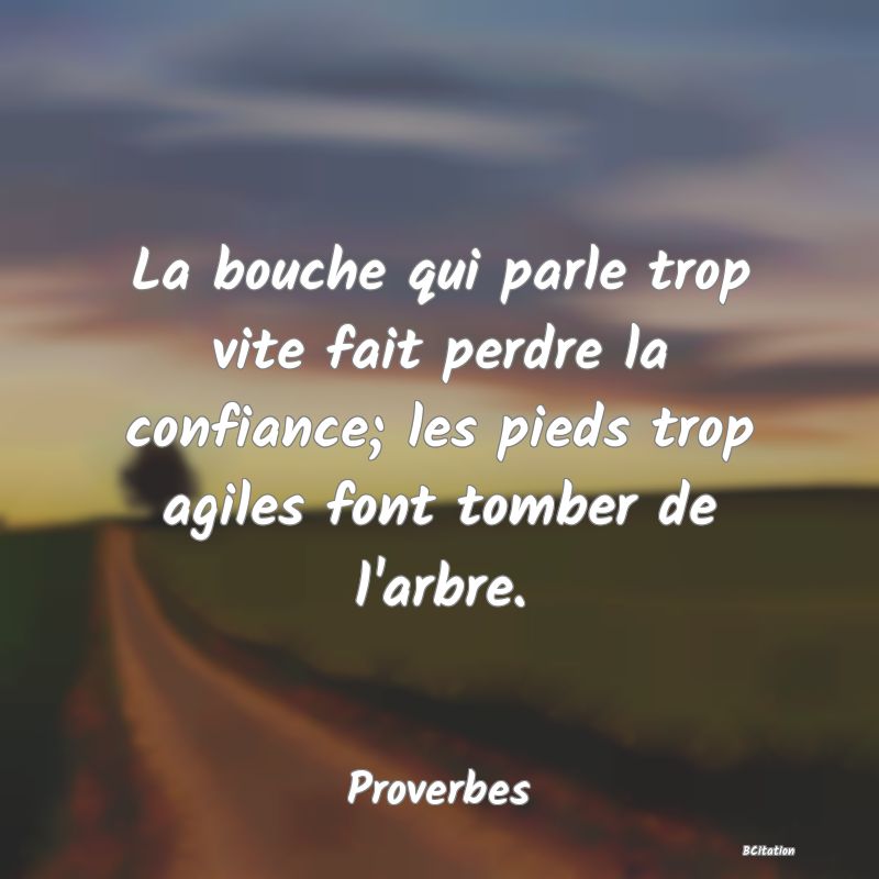 Belle Citation - La bouche qui parle trop vite fait perdre la confiance; les pieds trop agiles font tomber de l'arbre. - Proverbes