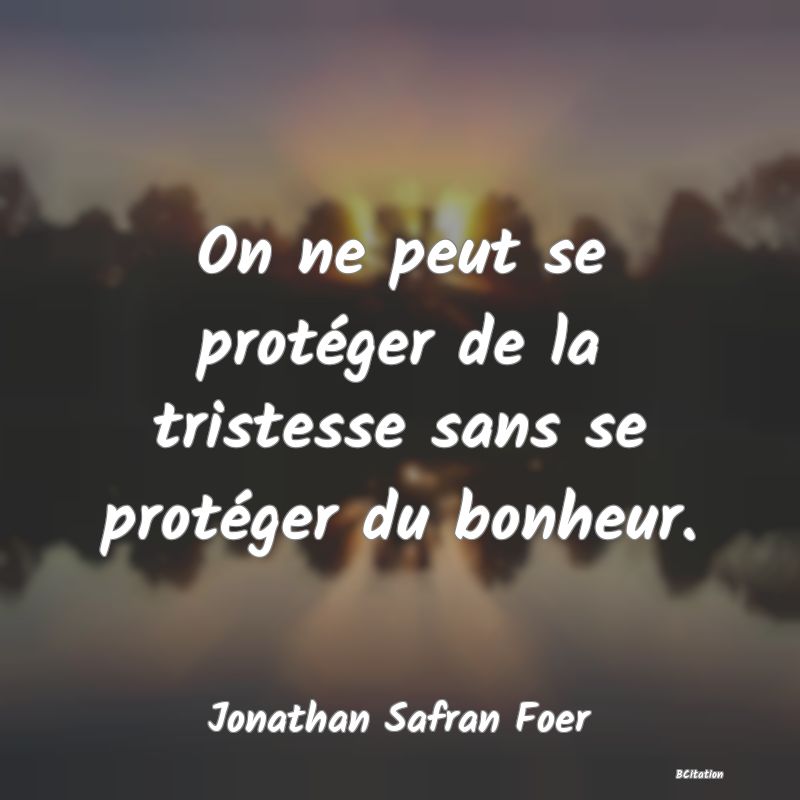 image de citation: On ne peut se protéger de la tristesse sans se protéger du bonheur.