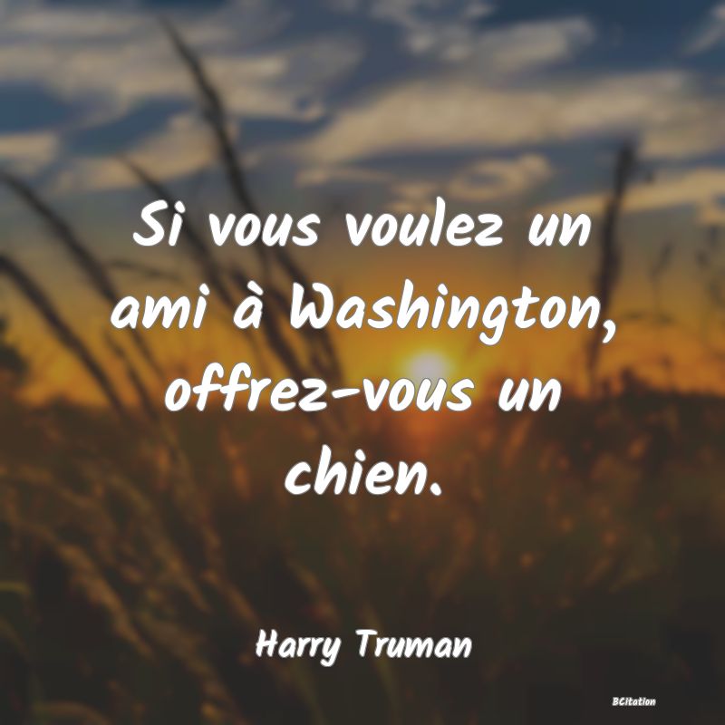 image de citation: Si vous voulez un ami à Washington, offrez-vous un chien.