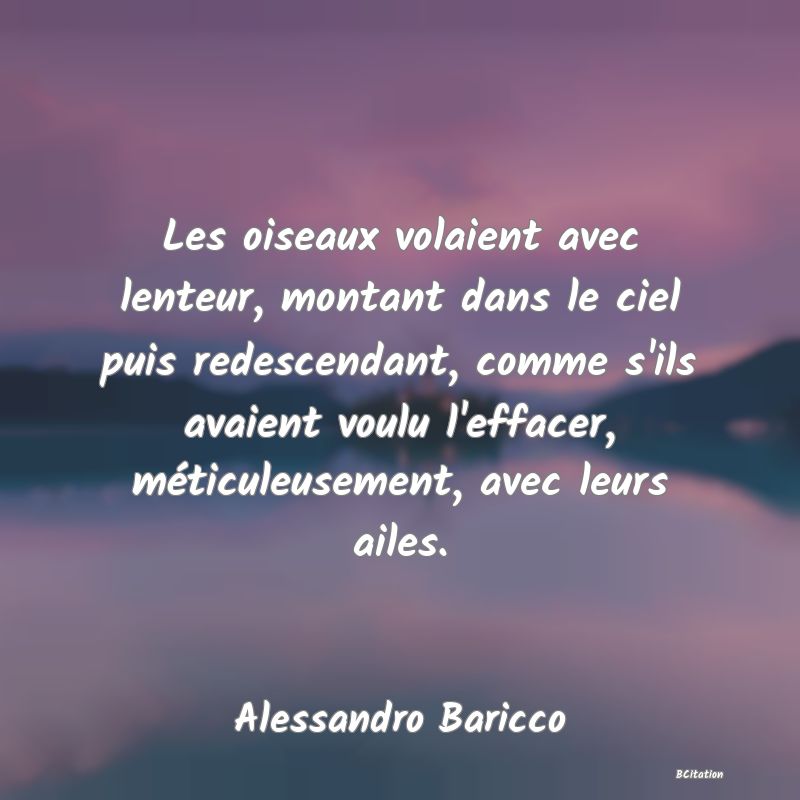 Belle Citation - Les oiseaux volaient avec lenteur, montant dans le ciel puis redescendant, comme s'ils avaient voulu l'effacer, méticuleusement, avec leurs ailes. - Alessandro Baricco