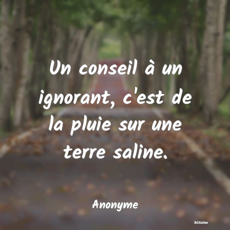 image de citation: Un conseil à un ignorant, c'est de la pluie sur une terre saline.