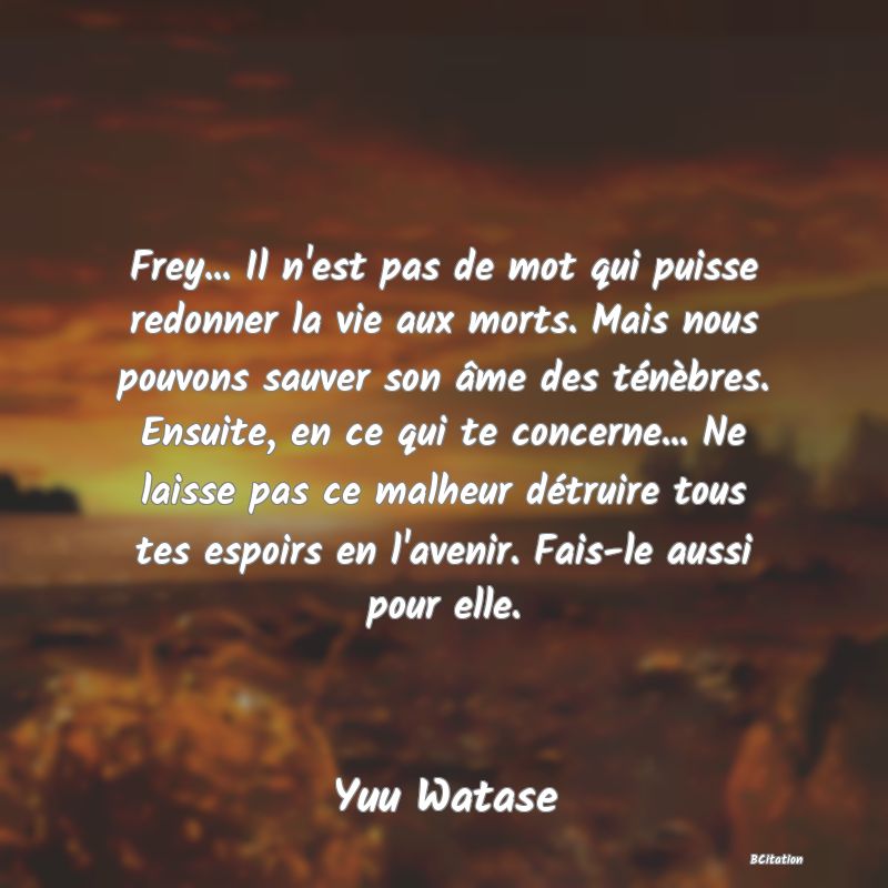 image de citation: Frey... Il n'est pas de mot qui puisse redonner la vie aux morts. Mais nous pouvons sauver son âme des ténèbres. Ensuite, en ce qui te concerne... Ne laisse pas ce malheur détruire tous tes espoirs en l'avenir. Fais-le aussi pour elle.