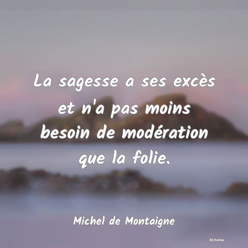 image de citation: La sagesse a ses excès et n'a pas moins besoin de modération que la folie.