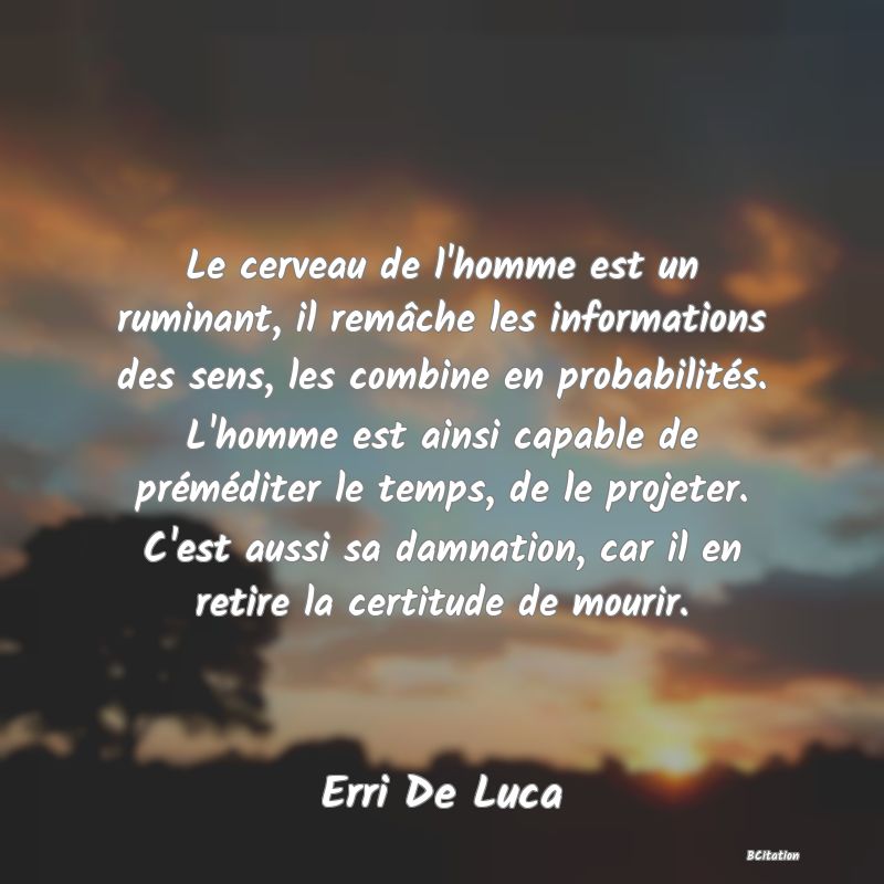 image de citation: Le cerveau de l'homme est un ruminant, il remâche les informations des sens, les combine en probabilités. L'homme est ainsi capable de préméditer le temps, de le projeter. C'est aussi sa damnation, car il en retire la certitude de mourir.