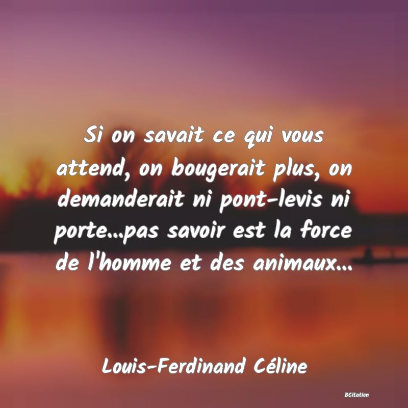 image de citation: Si on savait ce qui vous attend, on bougerait plus, on demanderait ni pont-levis ni porte...pas savoir est la force de l'homme et des animaux...