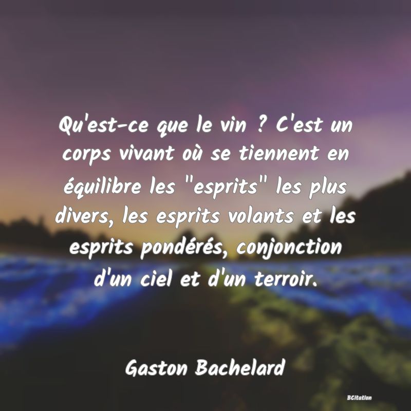 image de citation: Qu'est-ce que le vin ? C'est un corps vivant où se tiennent en équilibre les  esprits  les plus divers, les esprits volants et les esprits pondérés, conjonction d'un ciel et d'un terroir.