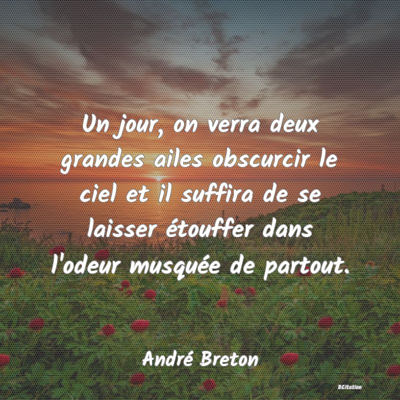 image de citation: Un jour, on verra deux grandes ailes obscurcir le ciel et il suffira de se laisser étouffer dans l'odeur musquée de partout.